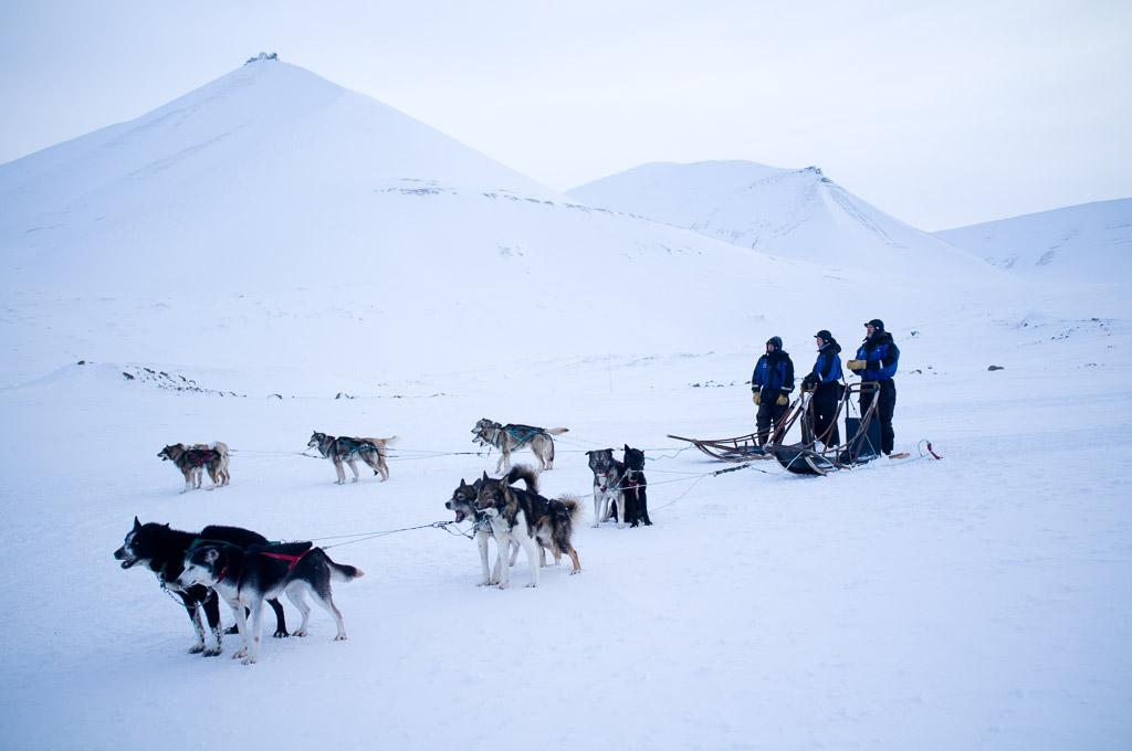 Pause au fond de la vallée de Bolterdalen. Pause au fond de la vallée de Bolterdalen.