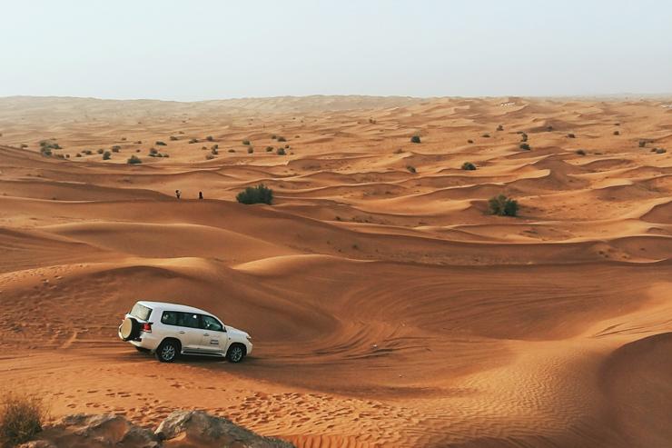 Safari dans le désert