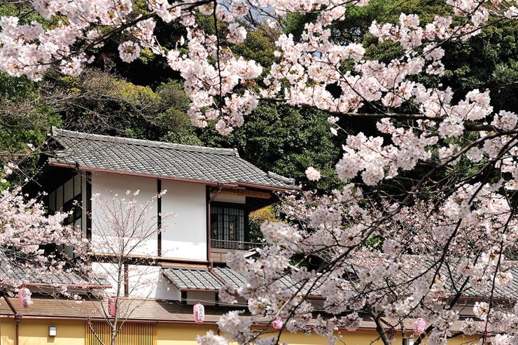 Hotel Chinzan-so - Le parc de l'hôtel au printemps