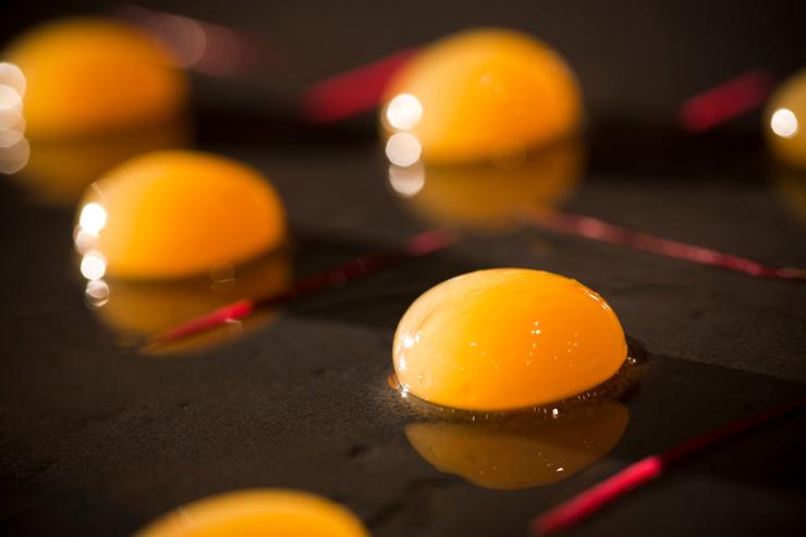 Bo Innovation - Plat