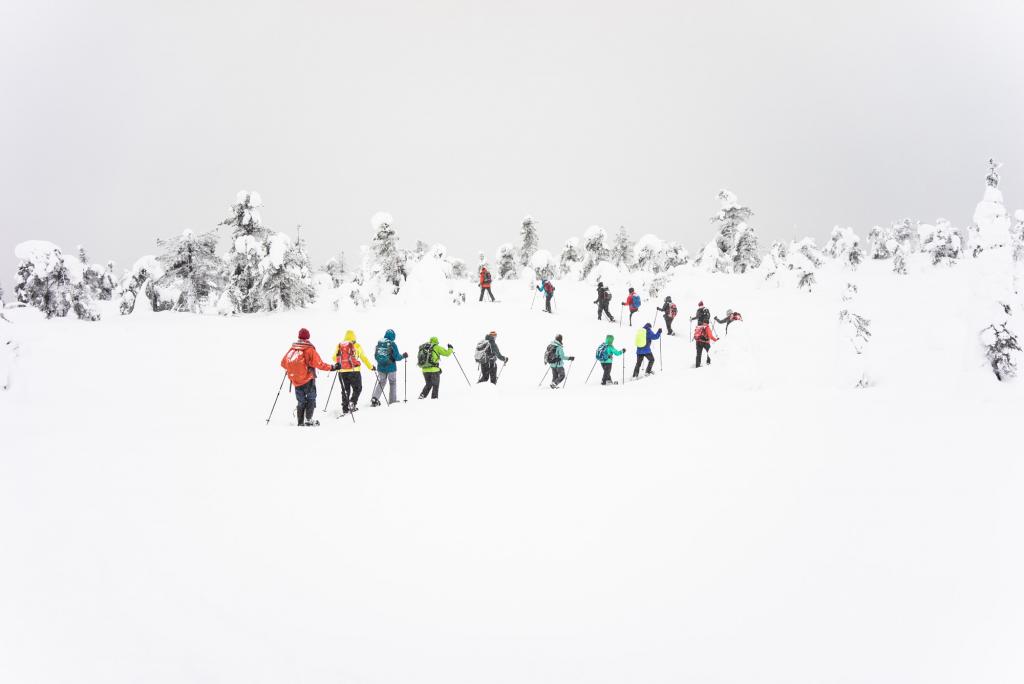 Parc national du Riisitunturi.