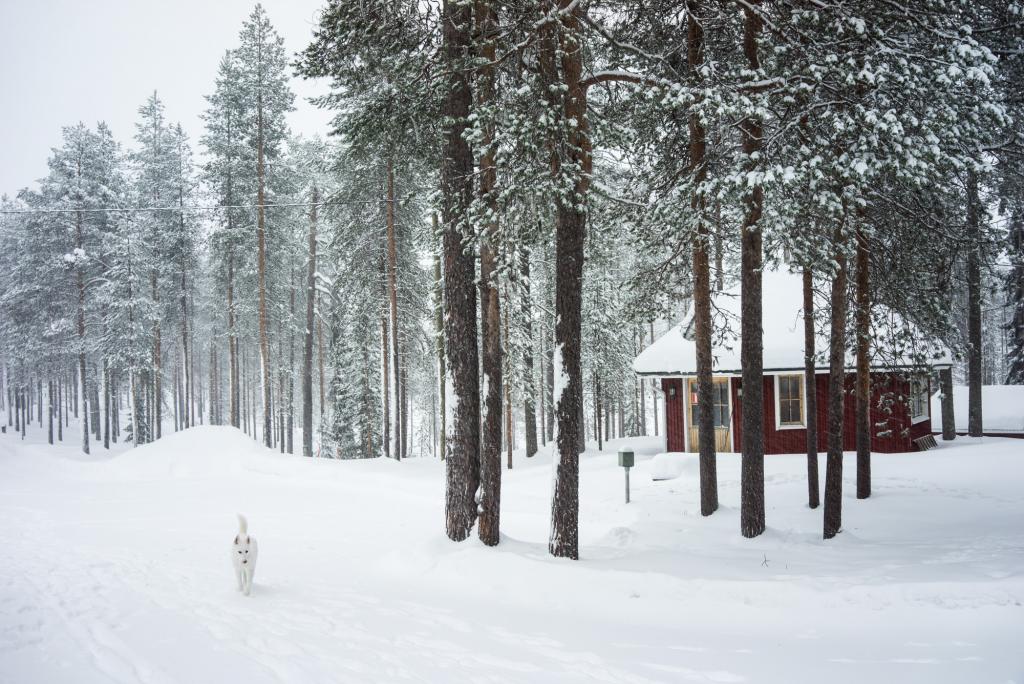 Naali Lodge, environs de Posio.