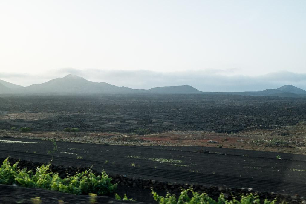 La Geria. Lanzarote.