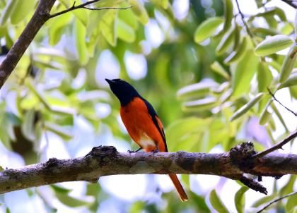 Malaisie : 10 lieux cachés pour sortir des sentiers battus