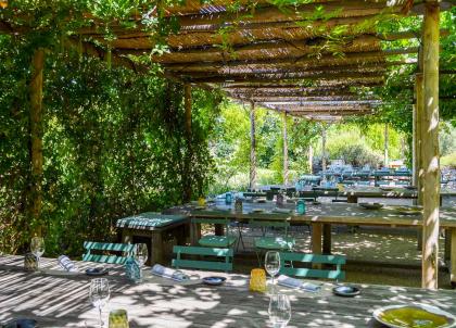 Les meilleurs restaurants à Arles 