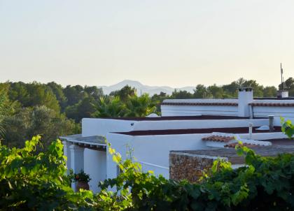 Que faire à Ibiza : les meilleures adresses de l'Île Blanche