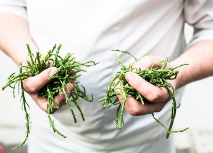 Pourquoi la Flandre (Belgique) est le paradis des foodies ?