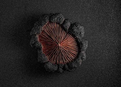 Noël 2023 : les plus belles bûches des grands chefs à Paris et en France