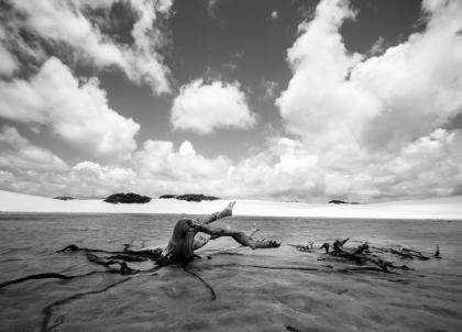 Les dunes irréelles des Lençóis Maranhenses