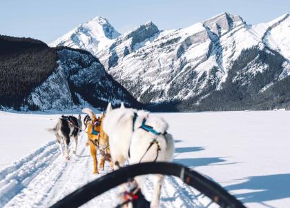 Sous la neige, un voyage magique au Canada en hiver 