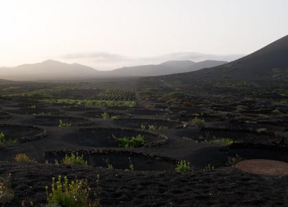 96h dans les paysages volcaniques des Canaries, entre Lanzarote et Tenerife