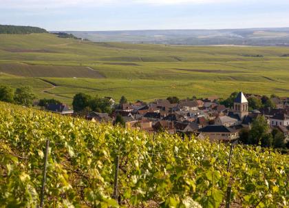 Quelles caves de champagne visiter ? Nos 8 caves préférées