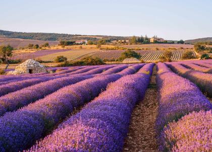 Notre itinéraire de 3 jours dans la Drôme provençale