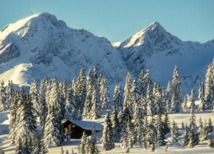 Nos bonnes adresses de la station Les Saisies, charme et sport au pied du Mont-Blanc