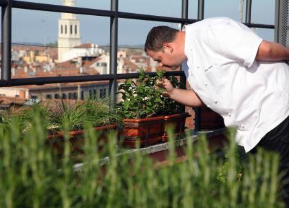 Le chef Loris Indri sur le toit de l'hôtel où sont cultivées toutes les plantes aromatiques et herbes utilisées en cuisine | © Londra Palace