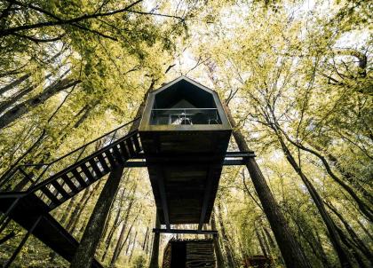 La newsletter hebdo hôtels et voyages - 69