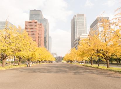 Entre Histoire et Modernité