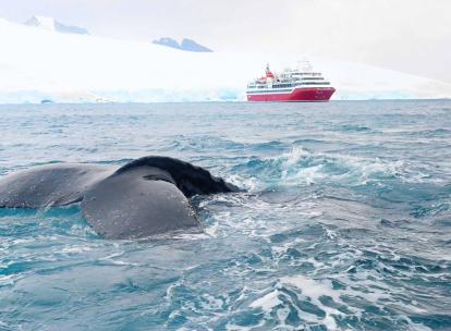 Notre avis sur la croisière en Antarctique à bord de l’Exploris One