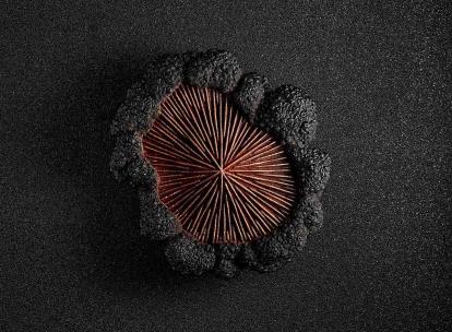 Noël 2023 : les plus belles bûches des grands chefs à Paris et en France