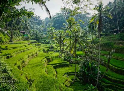 Où partir en juin au soleil, en ville, sur une île...