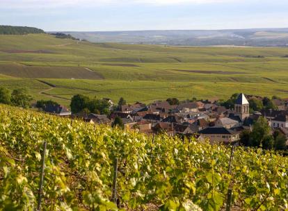 Quelles caves de champagne visiter ? Nos 8 caves préférées