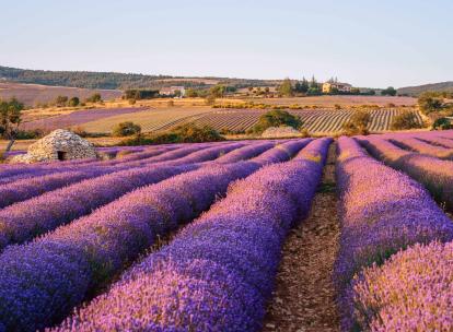 Notre itinéraire de 3 jours dans la Drôme provençale