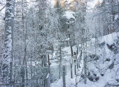 Notre itinéraire en Laponie : sur les traces du renne Aïlo