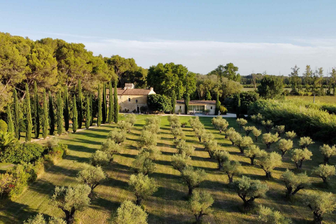 Le mas des Prêcheurs - vue aérienne du verger © DR 