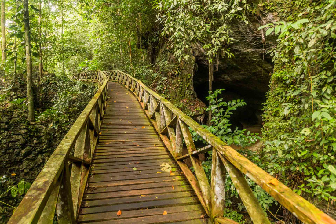 Chemin surélevé dans le Parc national de Niah sur l'île de Bornéo © Adobestock Matyas Rehak