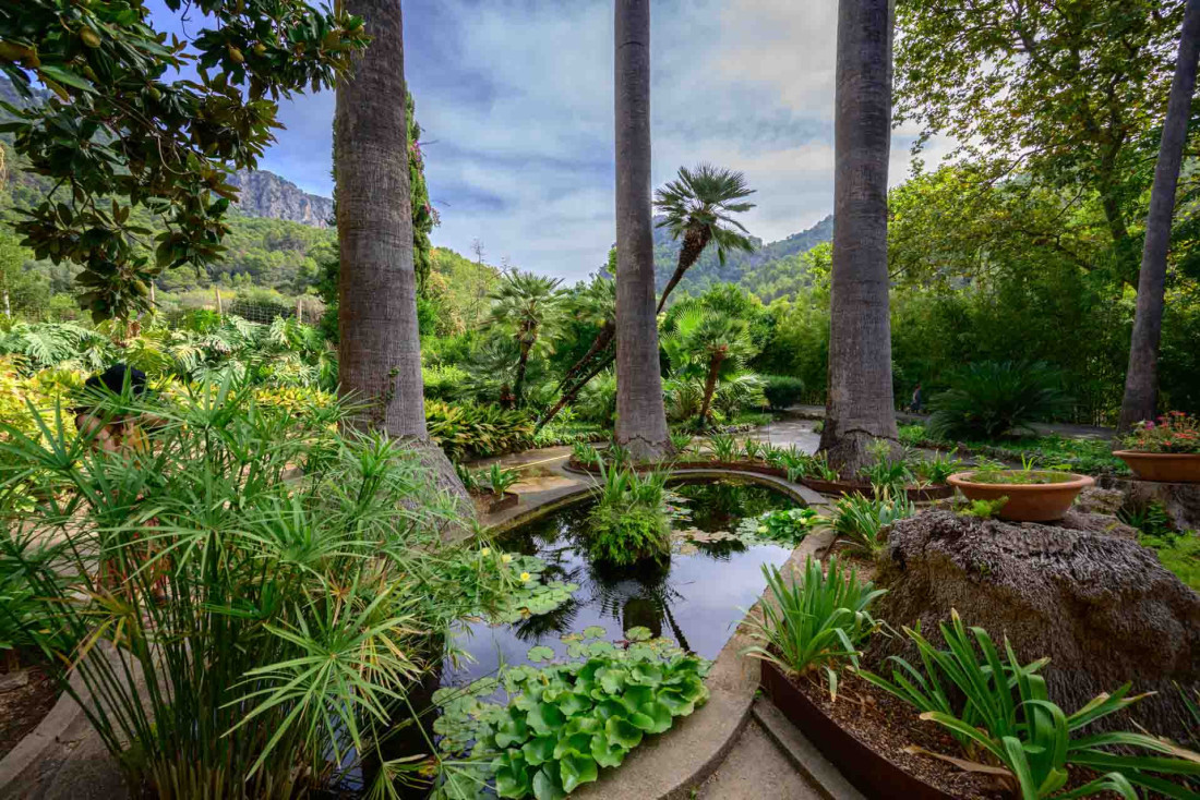 Le domaine d'Alfàbia © AdobeStock