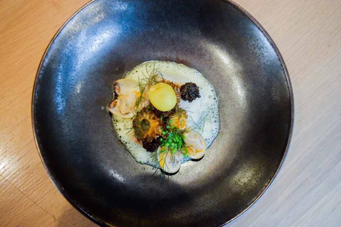 Filet de lieu jaune, coques, morilles, pomme de terre fumée, oseille © Yonder.fr