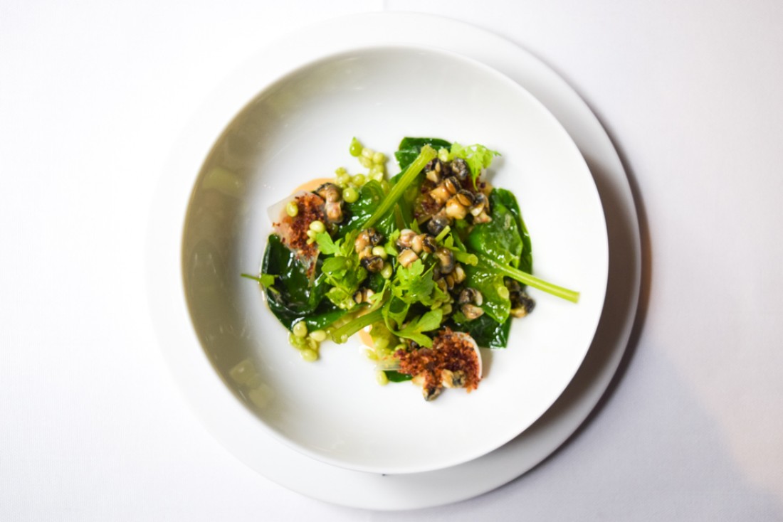 Coussinet de petits pois a la française, bigorneaux, sauce verjus © Yonder.fr