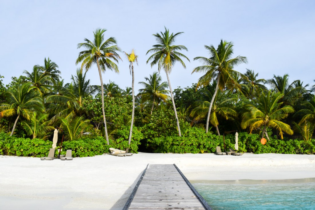 Plage et palmiers, le décor idyllique de l'île © Yonder.fr
