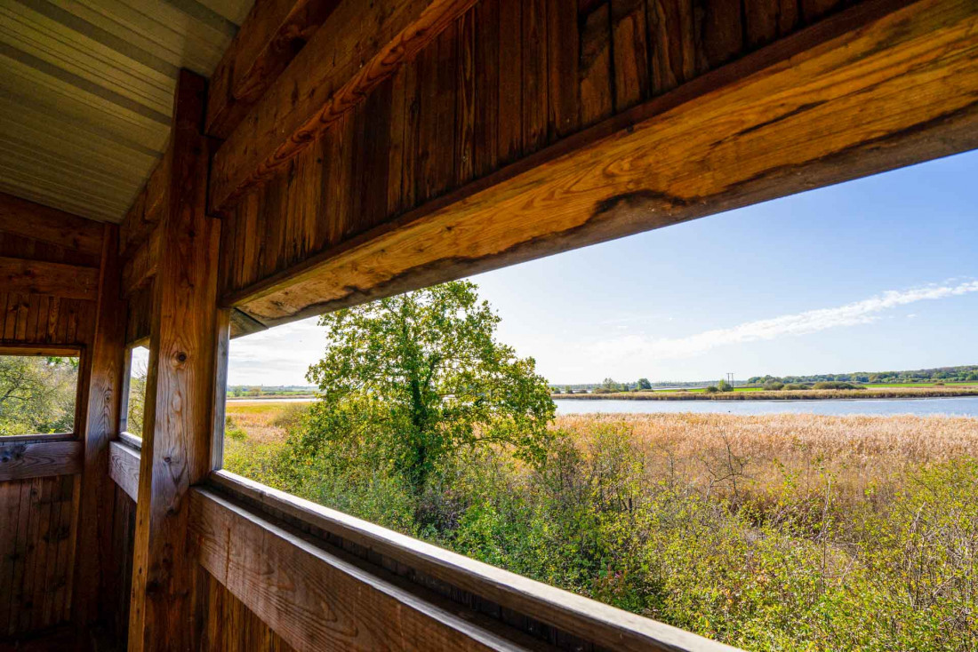 Les étangs de Lachaussée, aire protégée et paradis des oiseaux © Artipair