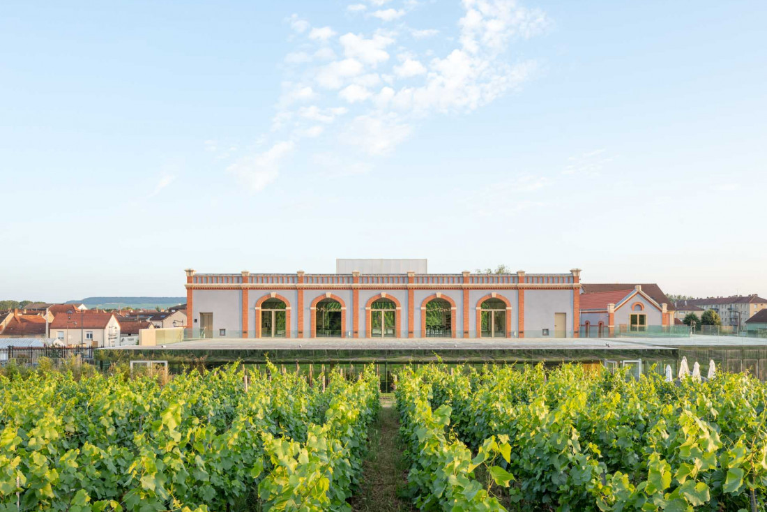 L'expérience Pressoria, la découverte du Champagne © Boegly + Grazia