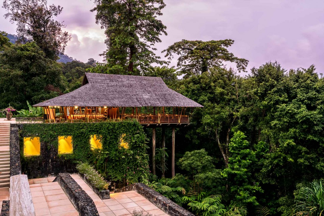 The Datai Langkawi est au cœur d’une biodiversité extraordinaire et sa forêt tropicale de 10 millions d’années abrite une faune et une flore extrêmement riches © DR