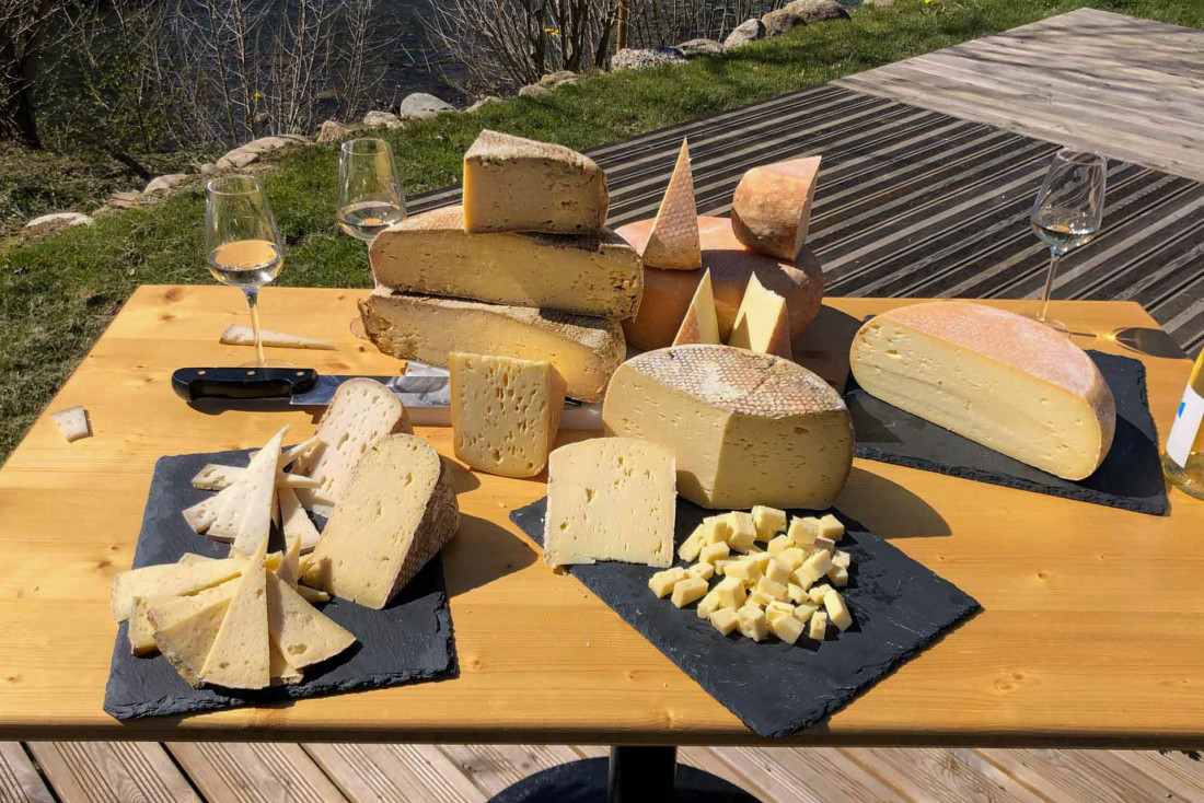 La Tomme des Pyrénées IGP au lait de vache ou de brebis © DR