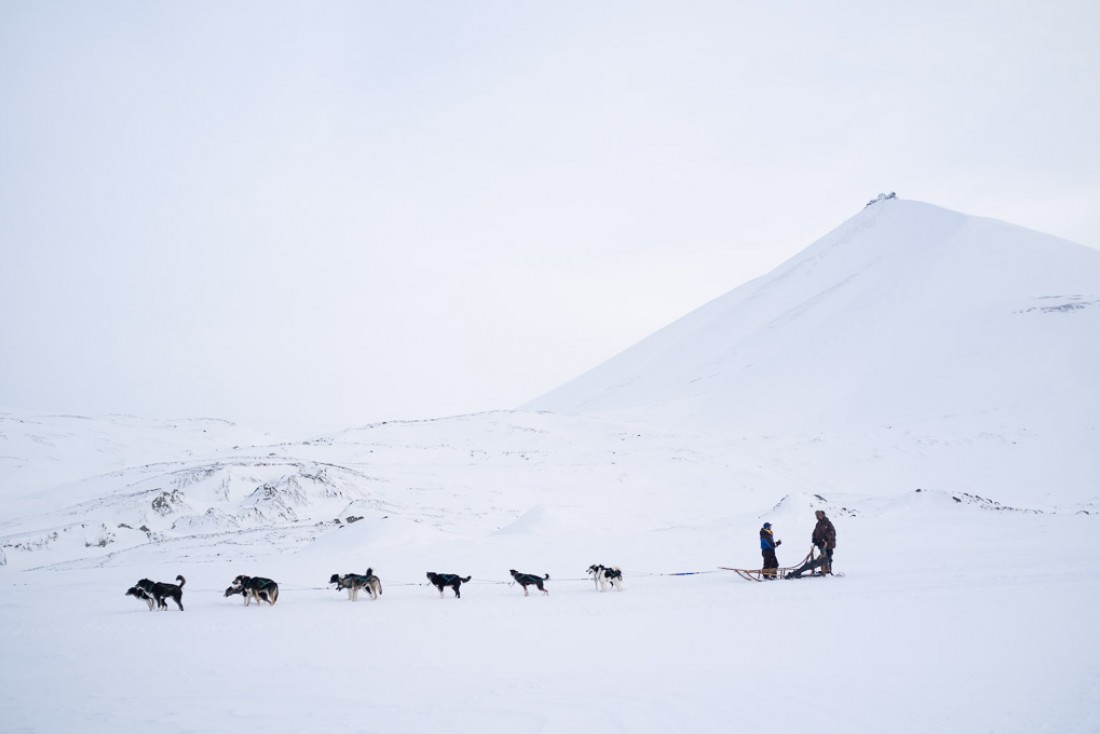 Excursion en traîneau à chiens dans Bolterdalen.  