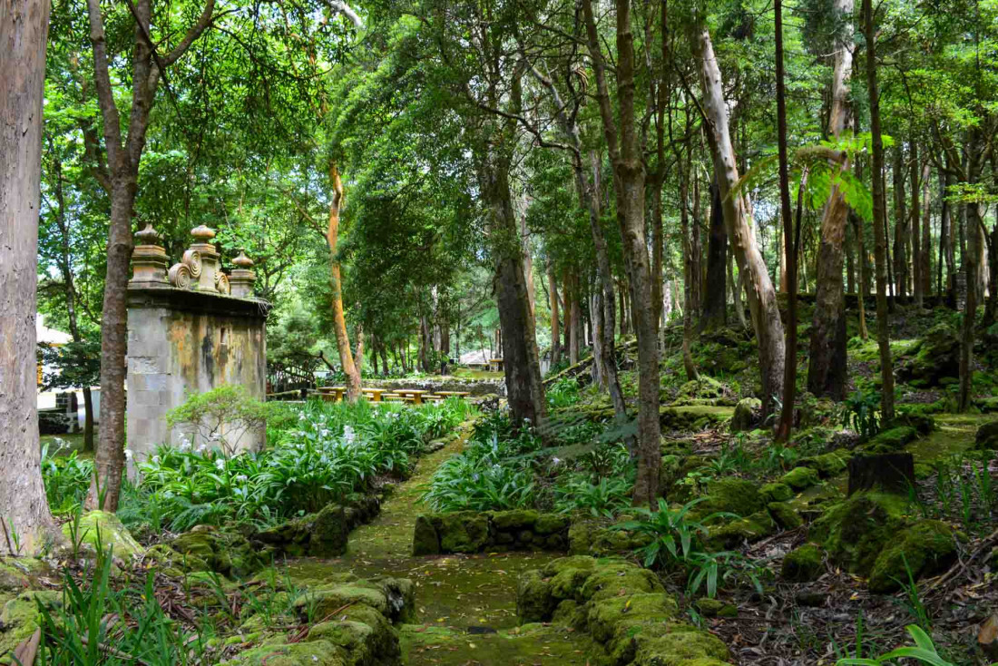 Les habitants ont l'habitude de pique-niquer et faire des barbecue en forêt sur des aires aménagées © YONDER.fr/PG