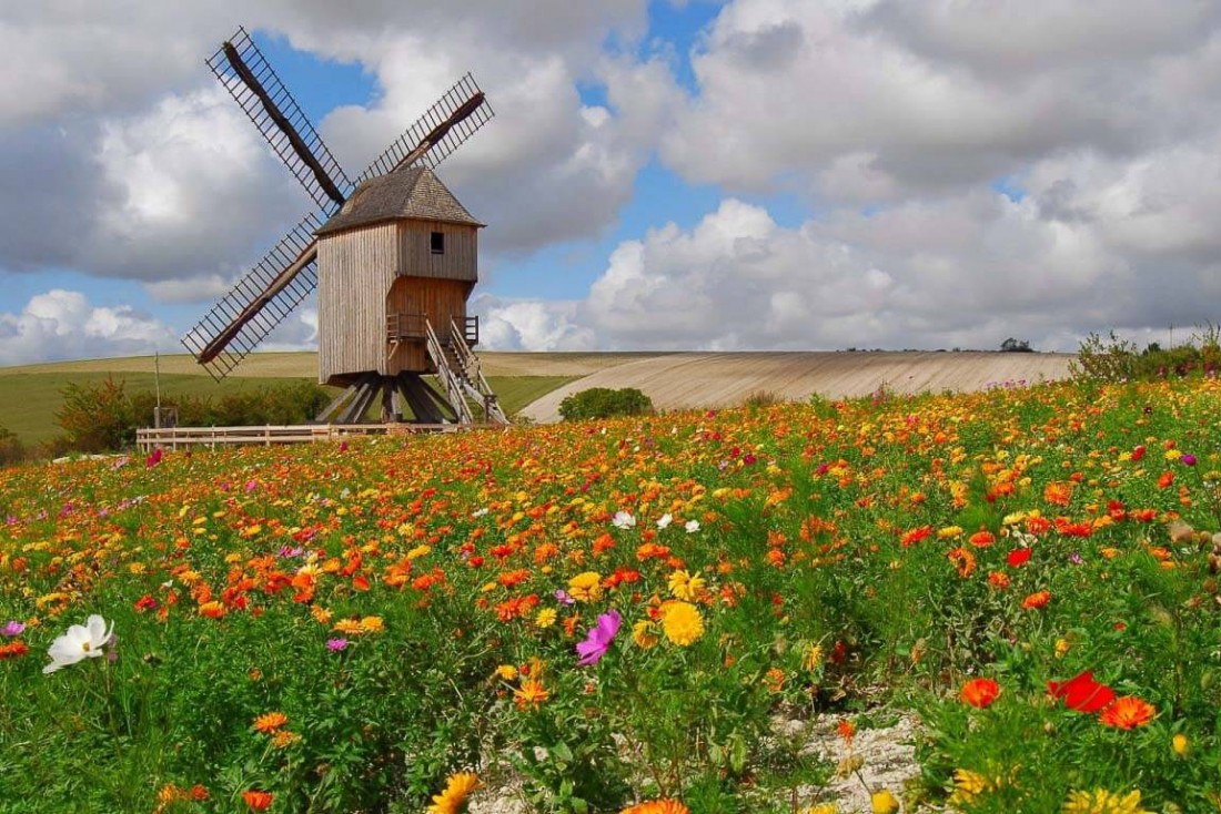 Le Moulin de Dosches, rénové sous l'impulsion de l'association des Moulins à Vent Champenois © PNRFO