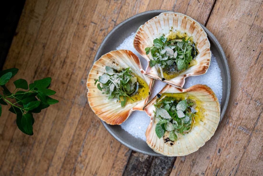 Restaurant Chocho | Les Saint-Jacques © Antoine Motard