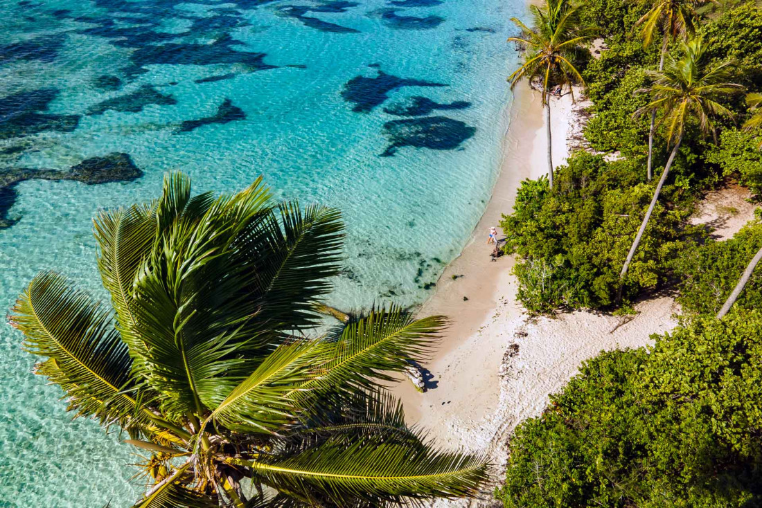 Visiter la Guadeloupe : notre itinéraire sur l'île papillon © AdobeStock Guillaume Voiturier