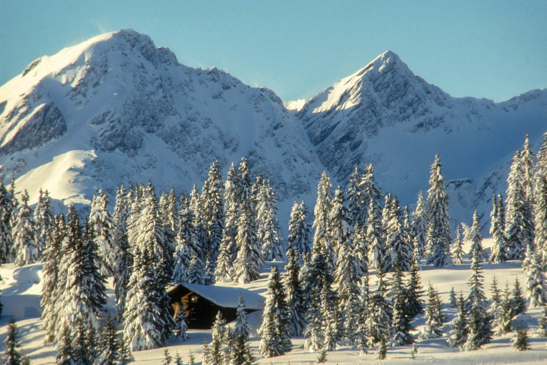 Nos bonnes adresses de la station Les Saisies © AdobeStock