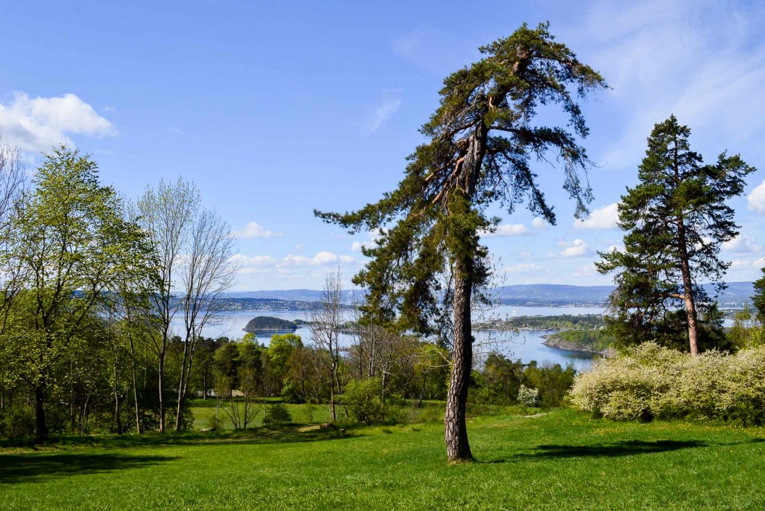 Résolument tournée vers la nature, d'immenses parcs encerclent la ville © Pierre Gunther