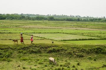 Sur la route de Darjeeling | © Marion Brun Sur la route de Darjeeling | © Marion Brun