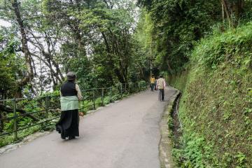 Promenade aux abords de la ville | © Marion Brun Promenade aux abords de la ville | © Marion Brun