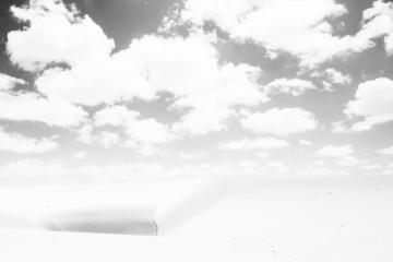 Le soleil est si fort qu’il en devient aveuglant  | © Cédric Aubert