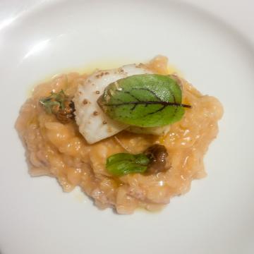 Riz à la crème aux champigons, langoustine et calmar.