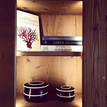 Des livres sont mis à la disposition des hôtes de l’Alpina, renforçant le côté résidentiel des lieux | © Yonder.fr Des livres sont mis à la disposition des hôtes de l’Alpina, renforçant le côté résidentiel des lieux | © Yonder.fr