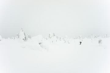 Parc du Riisisunturi.